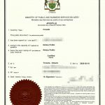 哈利法克斯土耳其籍人士死亡证明海牙认证