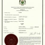 加拿大7页病历英译中海牙认证保险理赔报销