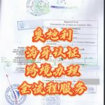 奥地利海牙认证中英文翻译盖章回国使用