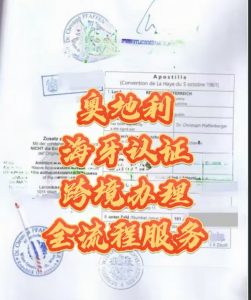 奥地利海牙认证中英文翻译盖章回国使用
