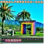 美加两国继承人声明海牙认证一天加急办妥