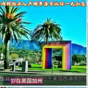 美加两国继承人声明海牙认证一天加急办妥