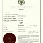 广西桂林身份证加拿大护照我还是我海牙认证