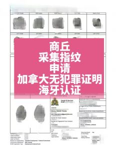 商丘采集指纹申请加拿大无犯罪证明海牙认证