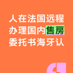 人在法国远程办理国内房产委托书海牙认证