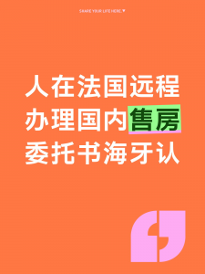 人在法国远程办理国内房产委托书海牙认证