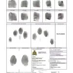 广州申请加拿大皇家骑警无犯罪证明海牙认证