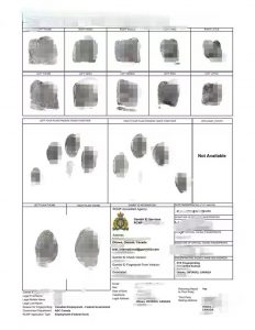 广州申请加拿大皇家骑警无犯罪证明海牙认证
