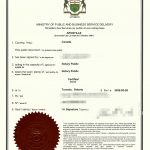 加拿大火化与骨灰证明带回国需办理海牙认证