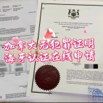 加拿大无犯罪证明海牙认证在线申请全流程