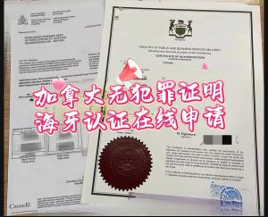 加拿大无犯罪证明海牙认证在线申请全流程