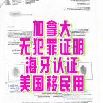 申请加拿大无犯罪记录证明海牙认证美国移民