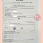 美国加州结婚证海牙认证回国更改户籍登记