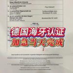 德国海牙认证文件翻译盖章在海牙成员国使用
