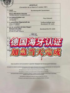 德国海牙认证文件翻译盖章在海牙成员国使用