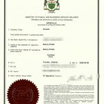 入籍加拿大后身份变更同一人海牙认证证明书