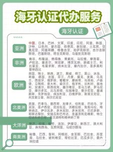 海牙成员国专业海牙认证文件翻译全程代办