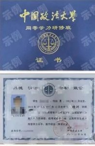 中国政法大学学历证书翻译公证加拿大工签用