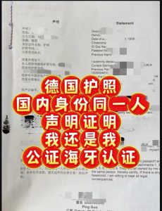 德国护照国内身份证同一人声明我还是我认证