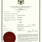 加拿大枫叶卡中英文翻译公证海牙认证流程