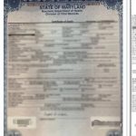 美国死亡证明翻译公证海牙认证回国必备