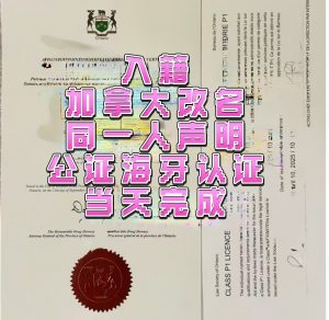 入籍加拿大改名回国办事同一人海牙认证代办
