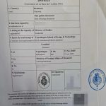 丹麦毕业生文凭海牙认证翻译公证回国找工作