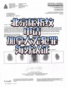 北京压指纹申请加拿大无犯罪海牙认证线上办