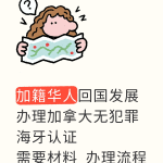 加籍华人回国发展无犯罪海牙认证办理指南