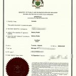 加拿大办理福建莆田分家析产委托书海牙认证