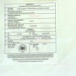 英国单身声明书海牙认证回国结婚登记