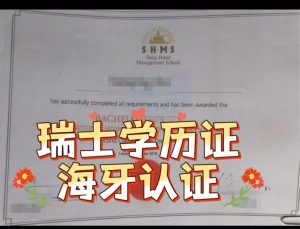 瑞士学历证书海牙认证只需扫描件线上流程