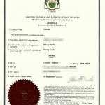 行政诉讼海牙认证案例加拿大出具中国使用