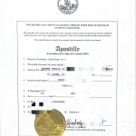 美国文件海牙认证 + 英译中翻译盖章全指南