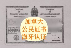 加拿大公民身份证明海牙认证流程