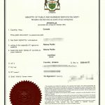 安省出生证明亲子关系证明海牙公约附加文书