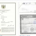 加拿大结婚证海牙认证加籍华人回国必备指南