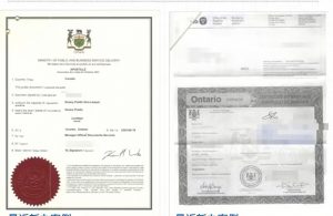 加拿大结婚证海牙认证加籍华人回国必备指南