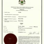 中国上海普陀身份证加拿大护照渥太华同一人