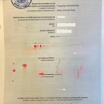 荷兰学历证海牙认证跨境使用指南