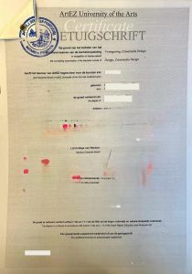 荷兰学历证海牙认证跨境使用指南