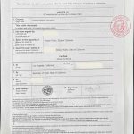 美国离婚判决书公证 州务卿海牙认证全流程