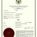 加拿大多本护照同一人声明海牙认证回国用途