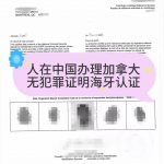 人在中国办理加拿大无犯罪证明认证申请绿卡