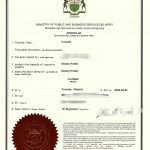 纽芬兰华人远程办理母子关系声明书海牙认证