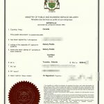 四川成都身份安省加拿大籍同一人申明书