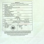 单身证明声明书英国海牙认证回国登记结婚