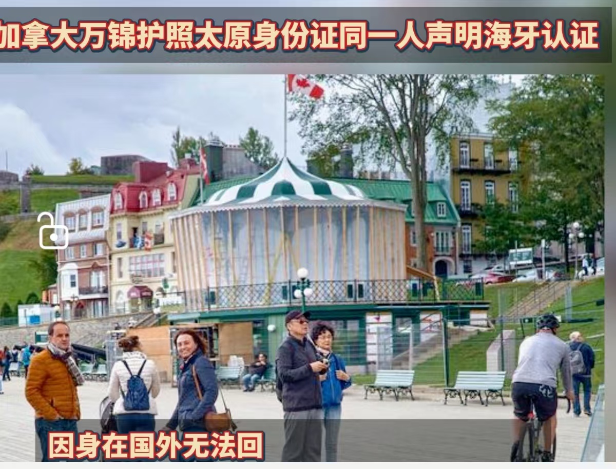 加拿大万锦护照太原身份证同一人声明书海牙