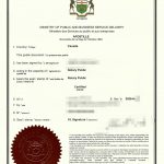 加籍维多利亚护照中国身份同人认证大连售房