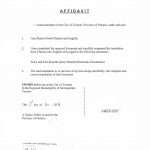 安省华人中国出入境记录中译英公证续枫叶卡